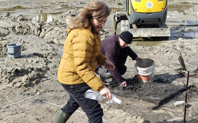 Sensacyjne odkrycie pod Poznaniem! Przerwano prace, znaleziono ludzkie szczątki