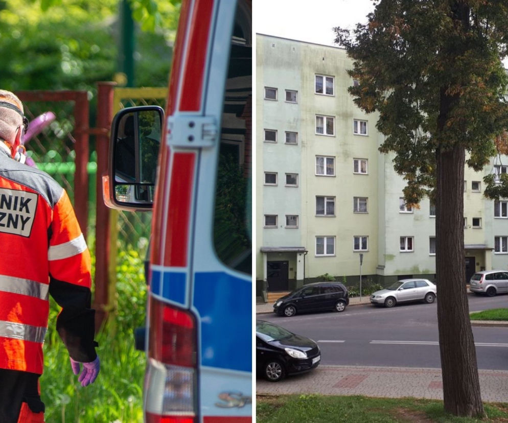 Przemyśl: Pies pogryzł 12-letniego Kamila. Właścicielowi odebrano zwierzęta [WIDEO]