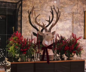 Małgorzata Rozenek-Majdan