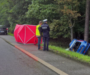 Wypadek na DK81 w Orzeszu