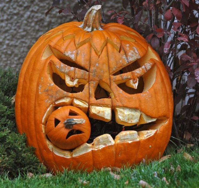 HALLOWEEN 2012: Dynia