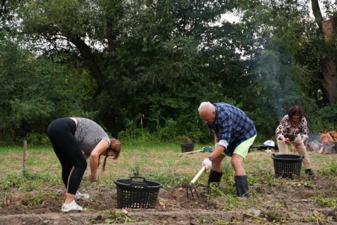 3. odcinek "Sanatorium miłości"