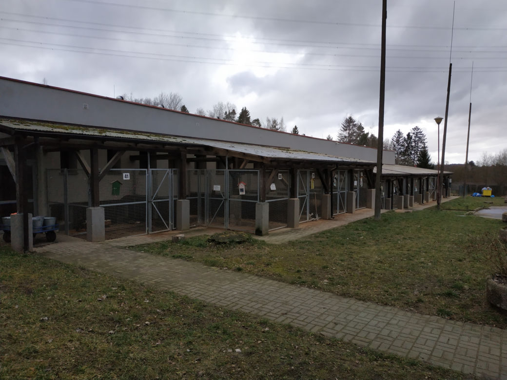 7 urodziny "Biegu na 6 łap" w Olsztynie