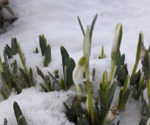 Wiosna nadchodzi do Lublina