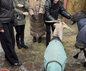 Joanna Krupa odwiedza schronisko dla zwierząt