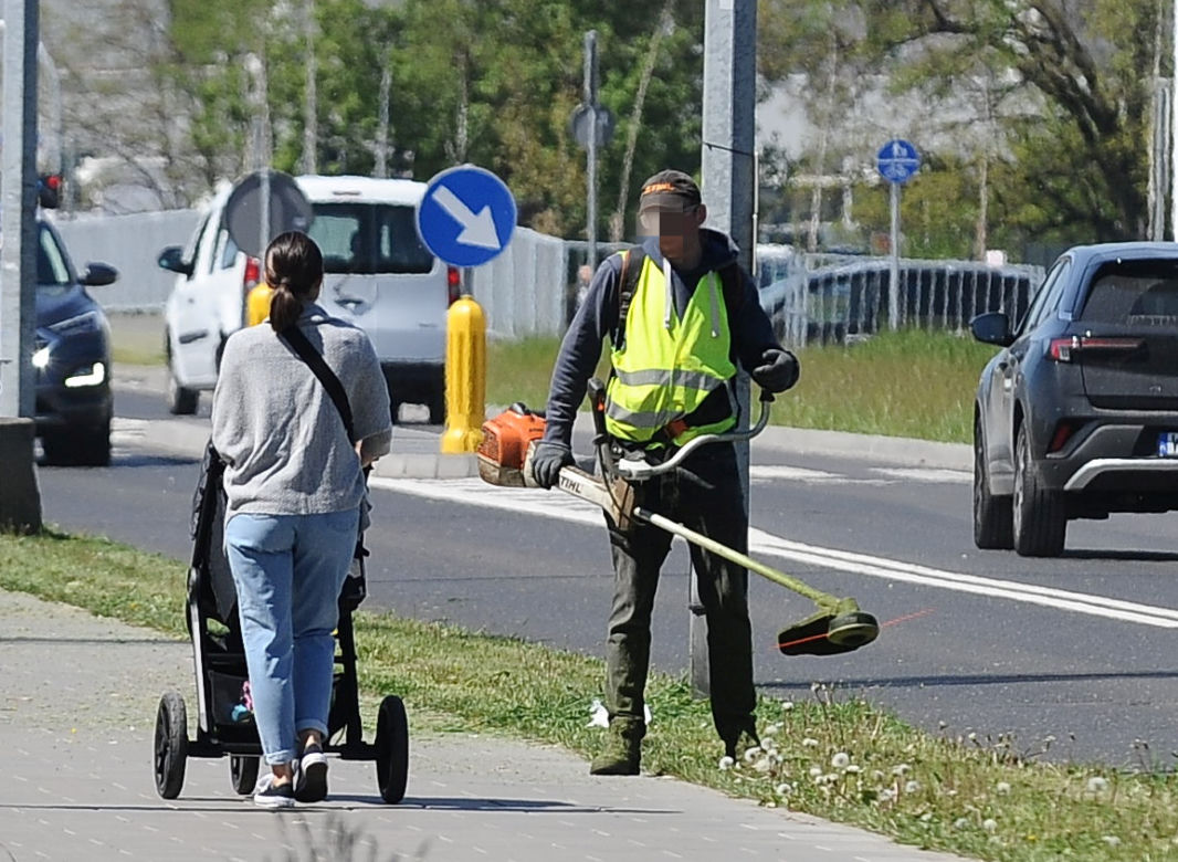 Warszawa wraca do koszenia trawników. Wielka akcja w Warszawie