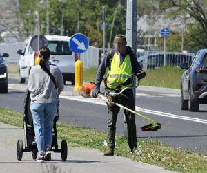 Warszawa wraca do koszenia trawników. Wielka akcja w Warszawie