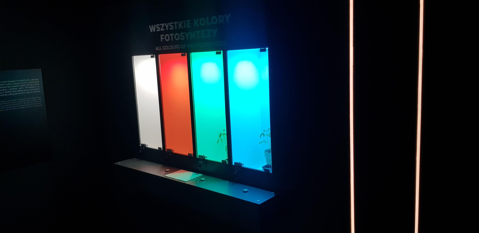 Otwarcie Centrum Nauki Kortosfera w Olsztynie. Bilety już dostępne! Ile kosztują?