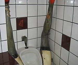 Najdziwniejsze toalety