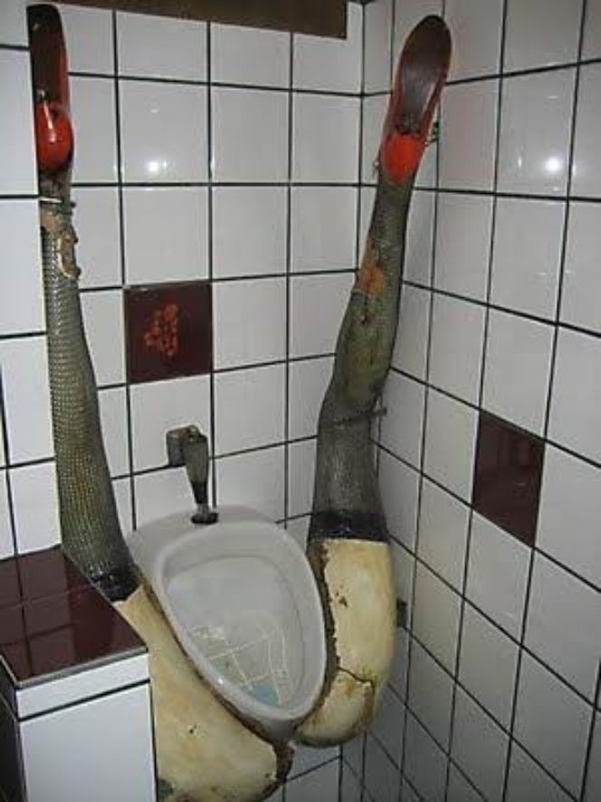Najdziwniejsze toalety