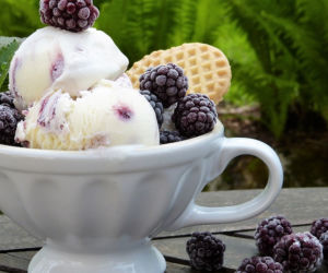 Lody