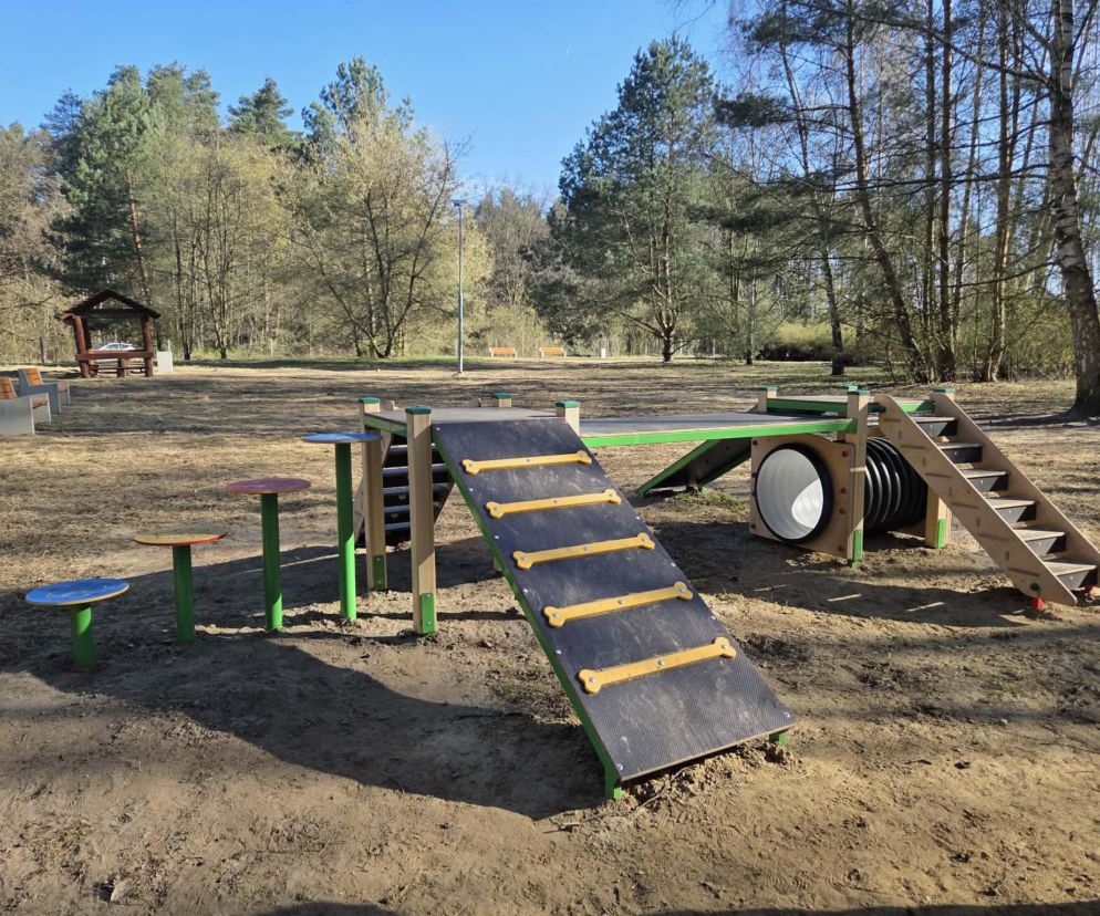 W Lesie Arkońskim zmodernizowano dwa wybiegi dla czworonogów