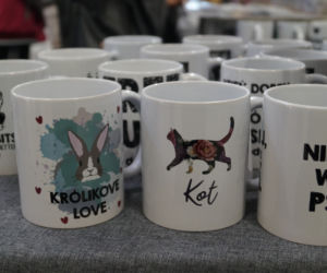 PupiLove Targi w Focus Mall Bydgoszczy [ZDJĘCIA]