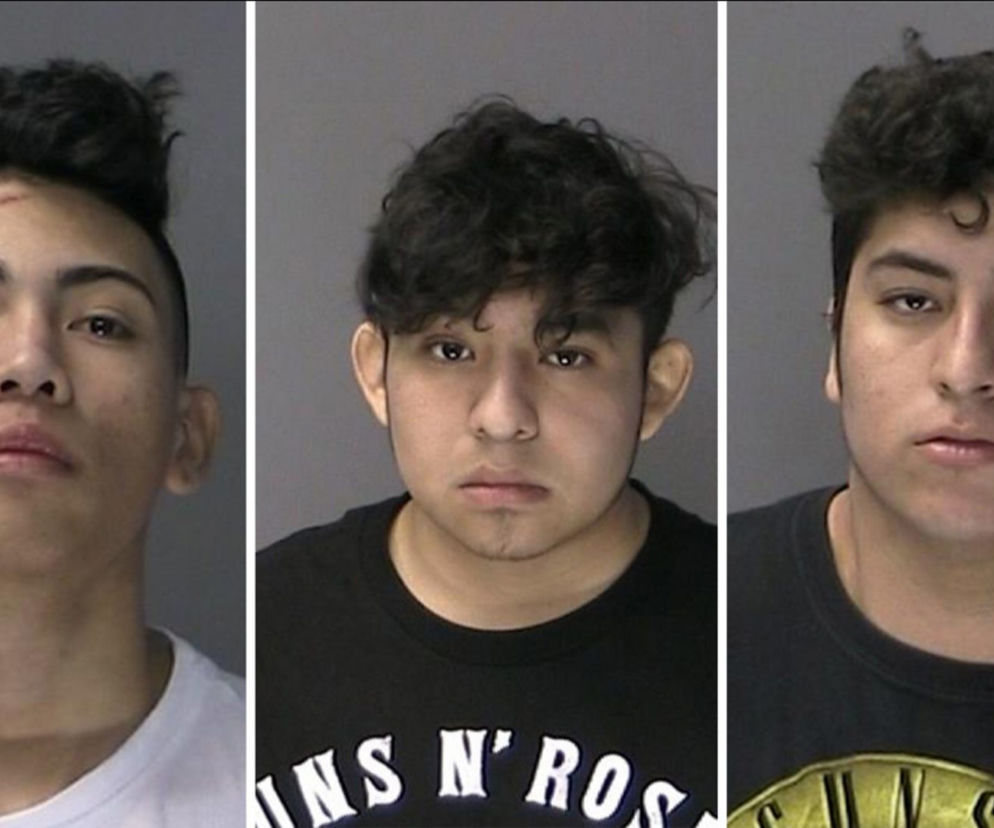 Młodzi gangsterzy zaatakowali na Long Island