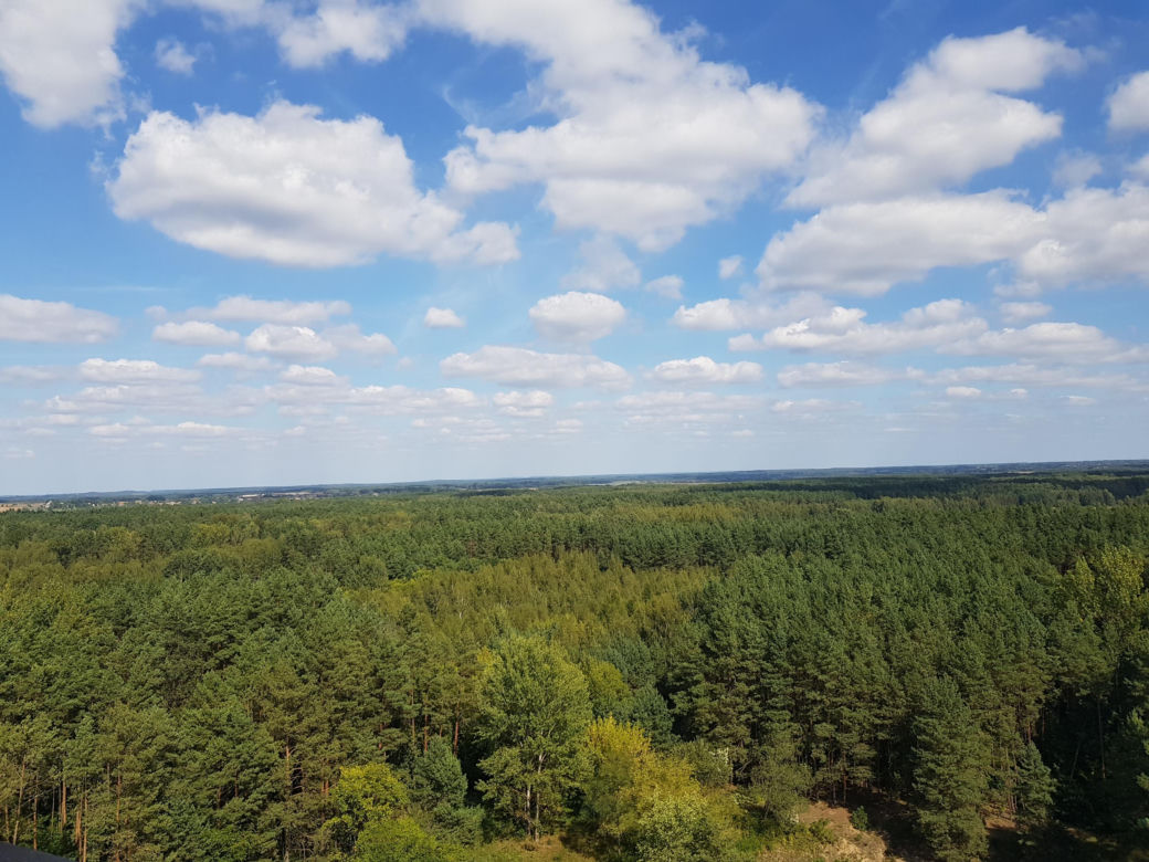 Wieża widokowa w Uhowie. To najwyższa wieża na Podlasiu [ZDJĘCIA]
