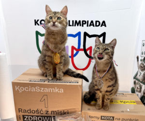 Koty z Tarnobrzega podbijają internet!