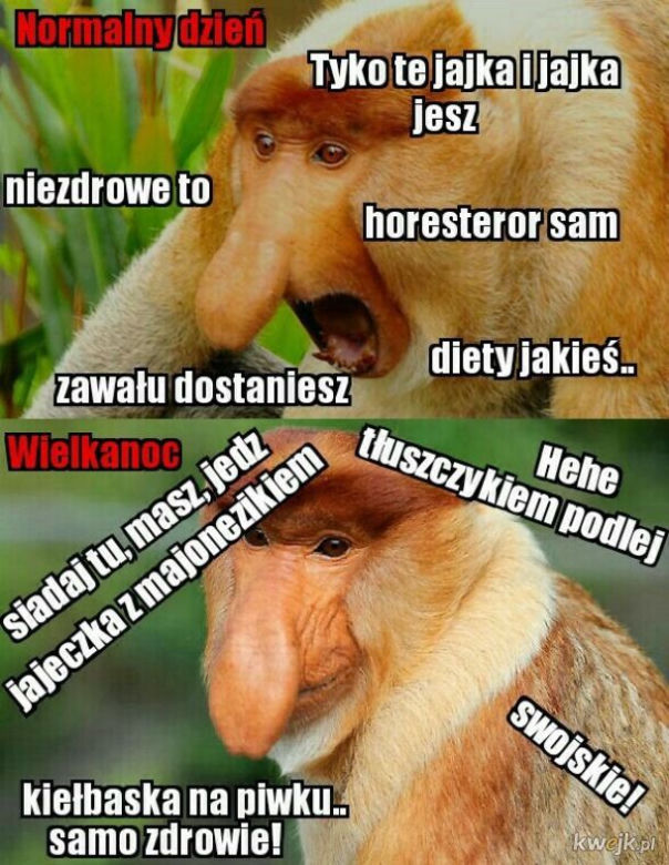 Memy Wielkanoc 2020