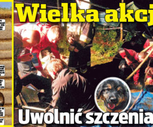Wielka akcja! Uwolnić szczeniaka!