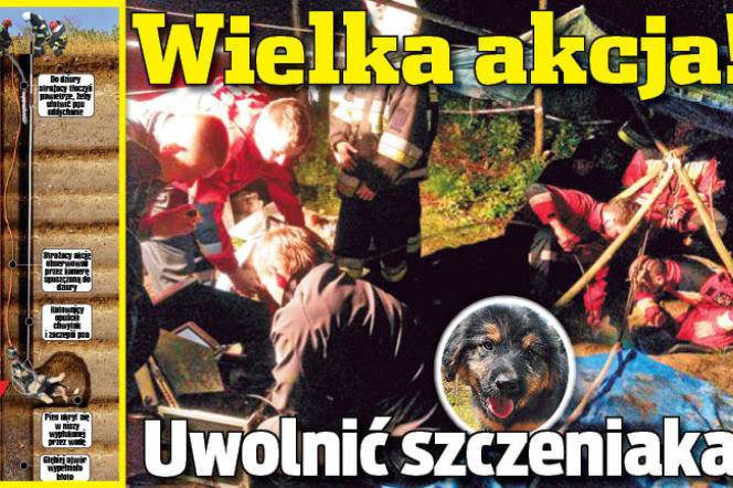 Wielka akcja! Uwolnić szczeniaka!