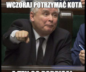 Andrzej Duda. Memy