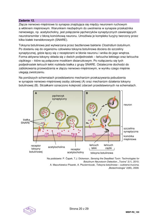 Matura 2023 rozszerzona biologia - arkusz CKE