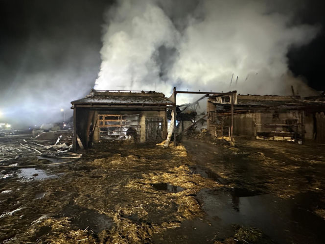 Padło ok. 20 byków. W Mościszkach palił się budynek inwestarski [ZDJĘCIA]