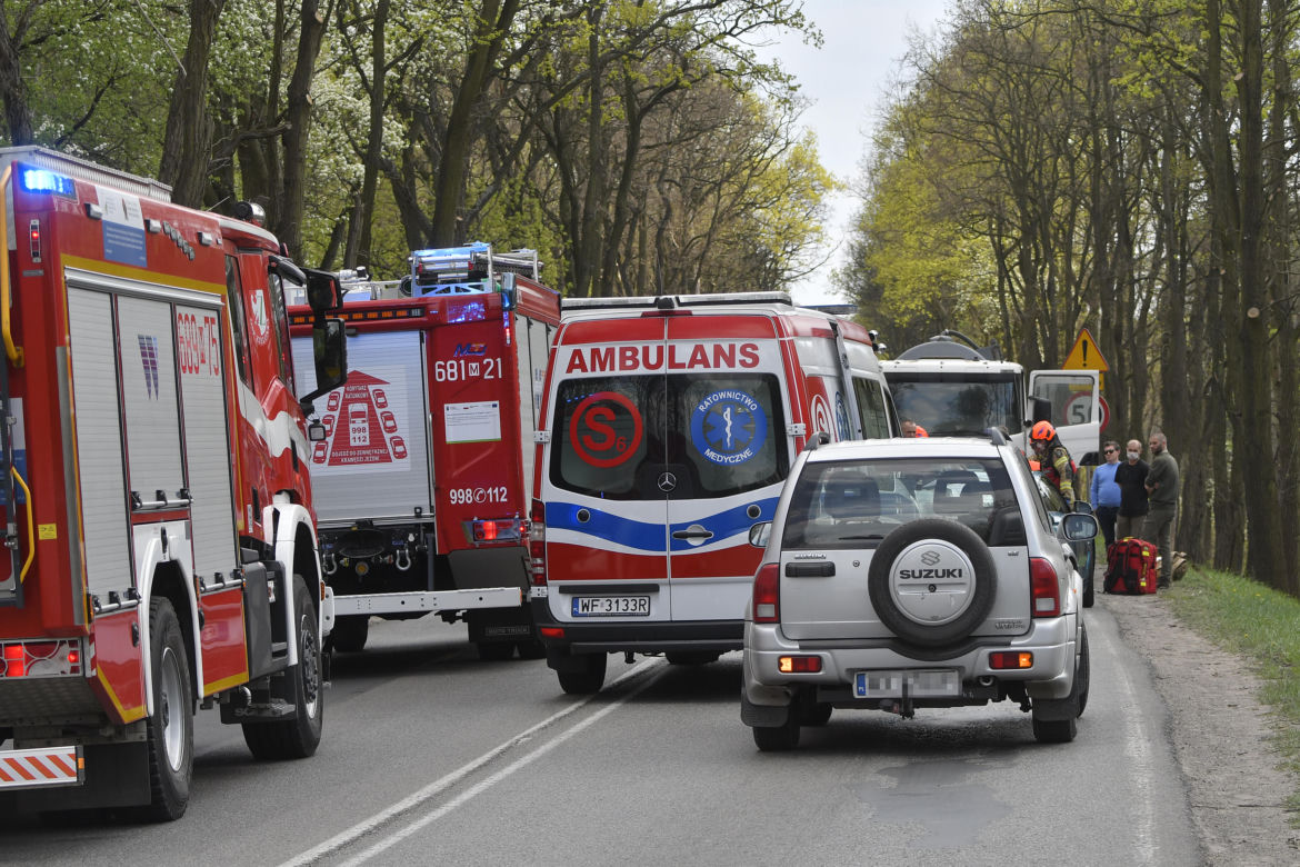 Łoś uderzył w motor przed rondem w Zielonce 