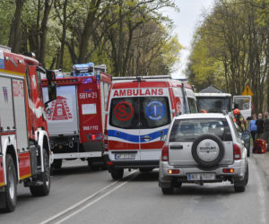 Łoś uderzył w motor przed rondem w Zielonce 