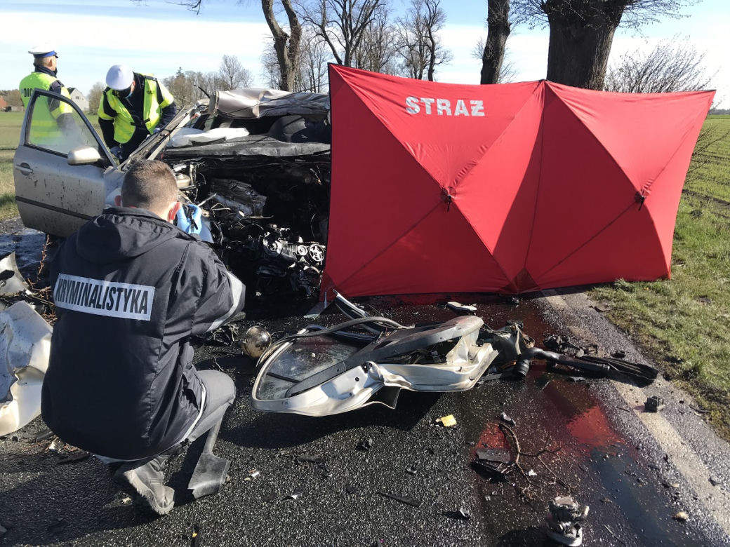 Skoda Octavia uderzyła w drzewo na prostej drodze