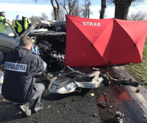 Skoda Octavia uderzyła w drzewo na prostej drodze