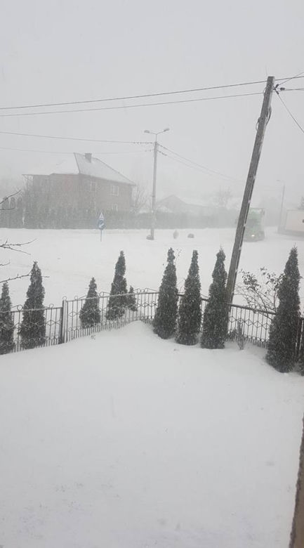 Jaświły