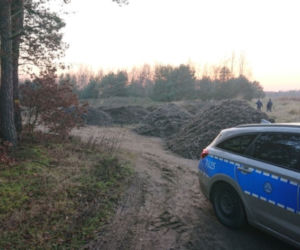 Sieradz: Chcieli wyrzucić w lesie KILKANAŚCIE ton ŚMIECI! 
