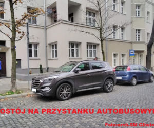 Mistrzowie parkowania z Gliwic! [ZDJĘCIA]