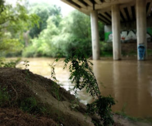 Sytuacja hydrologiczna w Tarnowie. Czy grozi nam powódź?