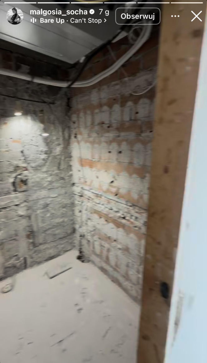 Małgorzata Socha remontuje dom