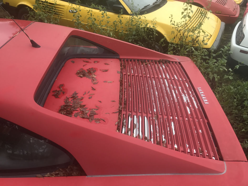 11 klasycznych Ferrari porzuconych w polu
