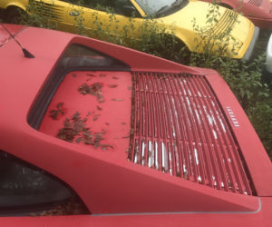 11 klasycznych Ferrari porzuconych w polu