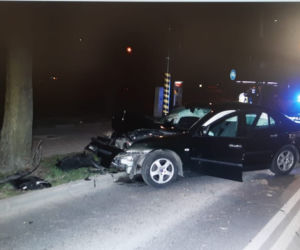 Łódź: uciekając przed policją uderzyła w drzewo. Kobieta była pijana i... poszukiwana