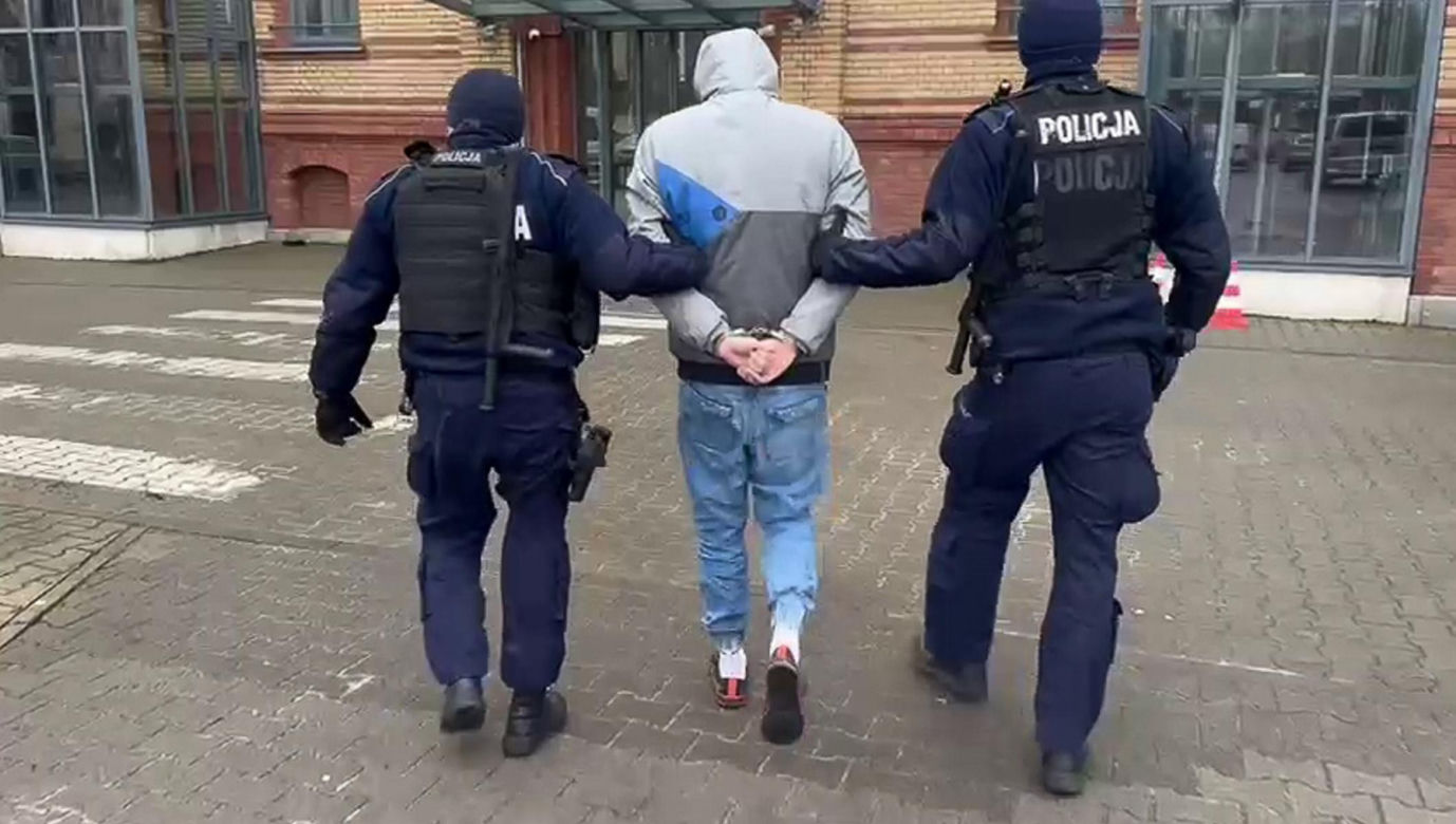 Aresztowani, którzy porwali i pobili strusia Zenka