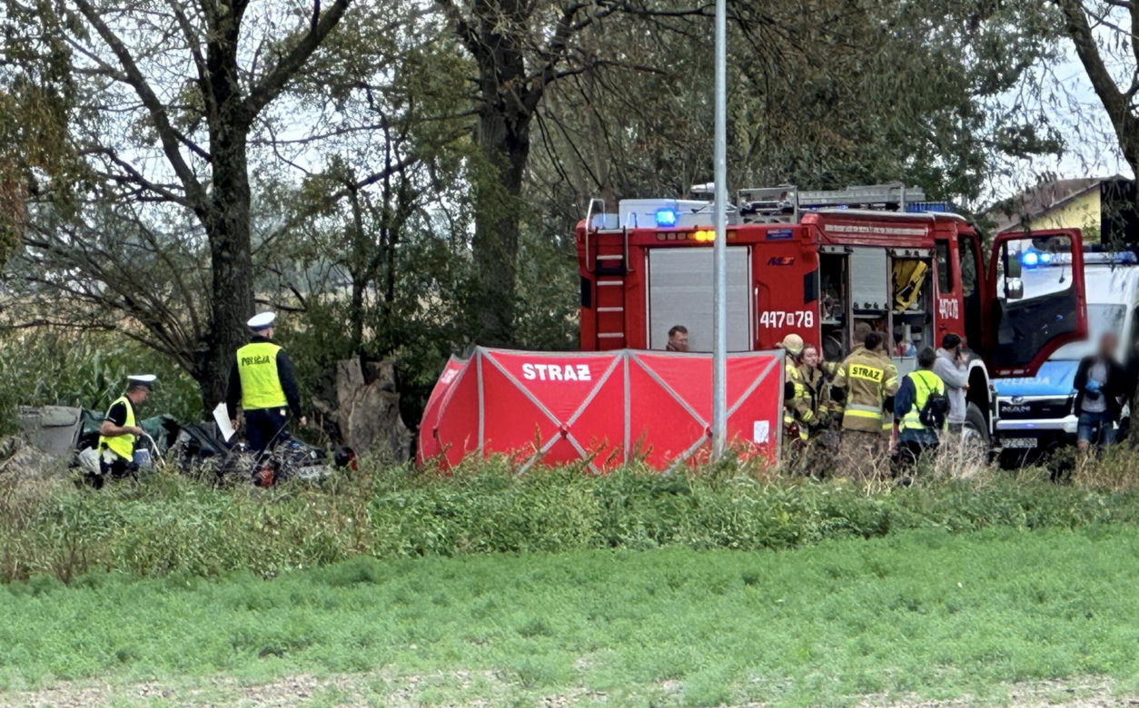 Auto pełne młodych ludzie roztrzaskane na drzewie. 21-letnia pasażerka nie żyje