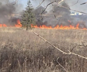 Mazowsze płonie, zaczęło się wypalanie traw