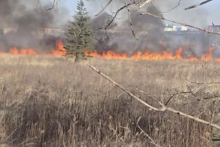 Mazowsze płonie, zaczęło się wypalanie traw