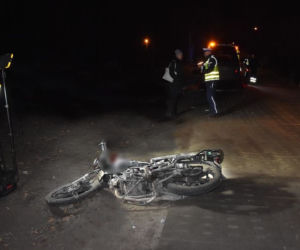 Koń ZABIŁ motorowerzystę?! ZOBACZ ZDJĘCIA