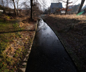 Zabójstwo 11-latki w Jeleniej Górze