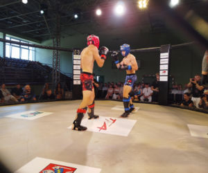 Fotorelacja z Gali Sportów Walki Taurus Fight Arena 2026 w Siedlcach