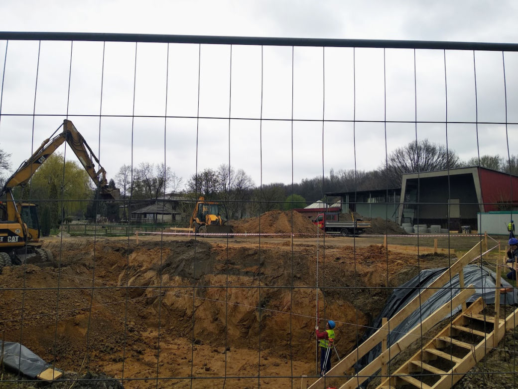 Chorzów: Po 42 latach do Śląskiego Ogrodu Zoologicznego wracają pingwiny! [ZDJĘCIA, AUDIO]