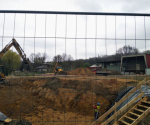Chorzów: Po 42 latach do Śląskiego Ogrodu Zoologicznego wracają pingwiny! [ZDJĘCIA, AUDIO]