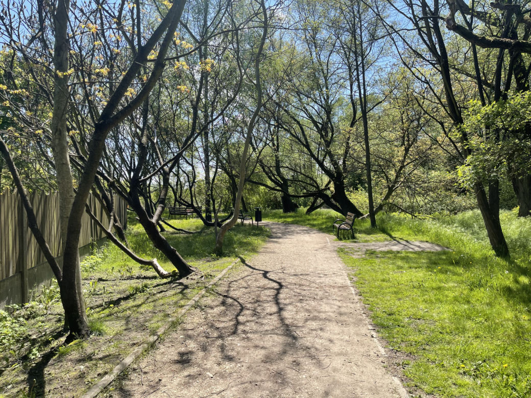 Kraków ma najdłuższy park w Polsce. Poznajcie Młynówkę Królewską! 