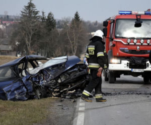 MAKABRYCZNY wypadek w Rudniku Kolonii. 71-latek ZGINĄŁ na miejscu [ZDJĘCIA]
