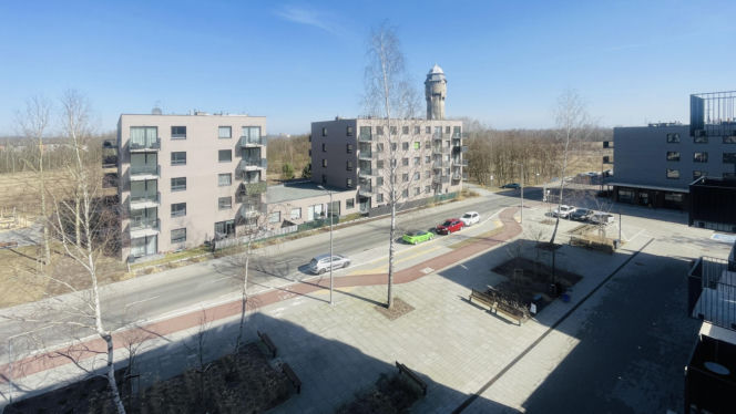 Katowice, osiedle przy Korczaka. Mieszkania na wynajem